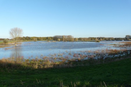 November 2013
